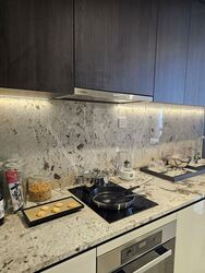 Tembusu Grand (D15), Condominium #513047071